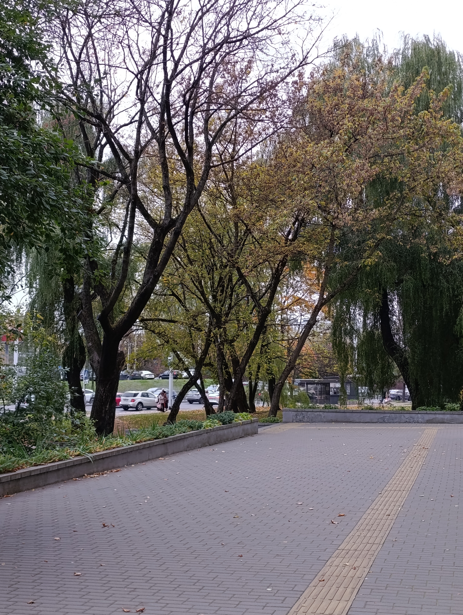 Осенний субботник: листья падали, мы не отступали